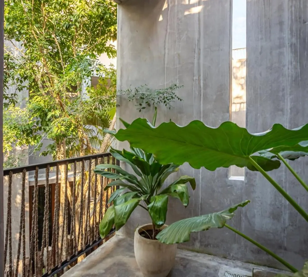 Spectacular Luxury Villa, 3 Bedrooms, Private Pool Tulum Villa